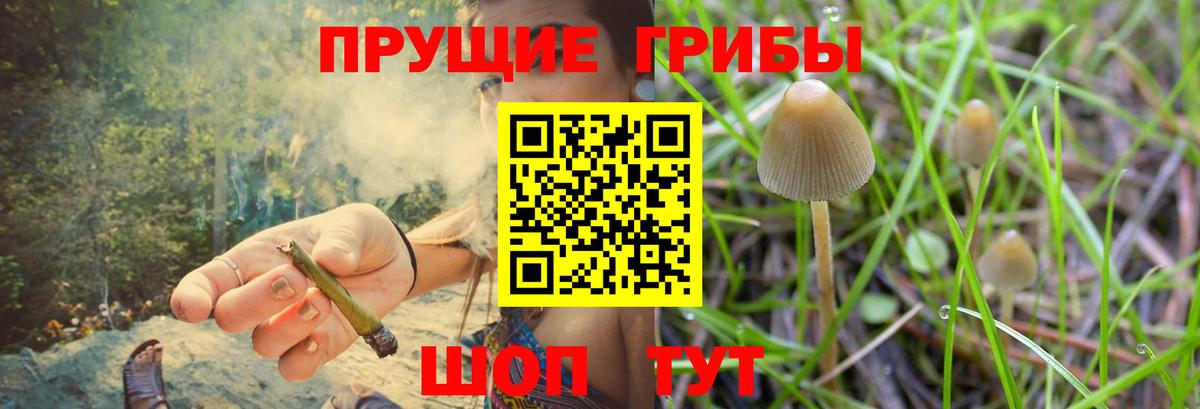 Великие Луки  Псилоцибиновые грибы Magic Shrooms  Вход с VPN 