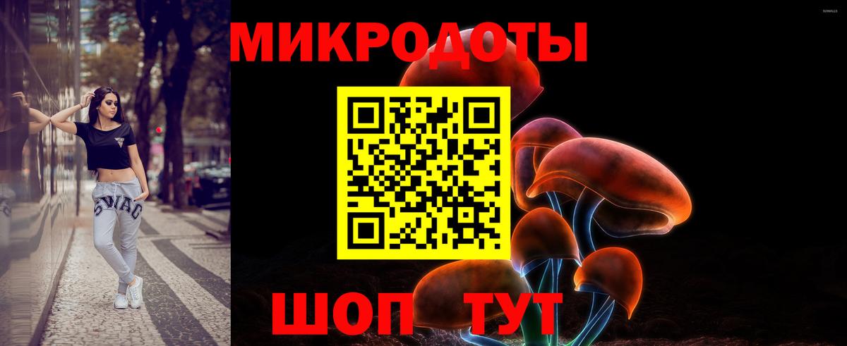 Галлюциногенные грибы Cubensis Великие Луки